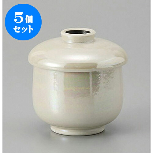 5個セット むし碗 ラスター小蒸し碗 [6.9 x 8cm] | 茶碗蒸し ちゃわんむし 蒸し器 寿司屋 碗 むし碗 食器 業務用 飲食店 おしゃれ かわいい ギフト プレゼント 引き出物 誕生日 贈り物 贈答品 食器セット