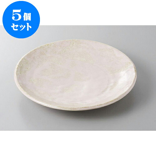 5個セット 丸盛皿 夢ロマン手びねり8.0寸皿 [24 x 4cm] | 盛り皿 盛皿 人気 おすすめ フルーツ皿 パーティー パスタ皿 食器 業務用 飲食店 カフェ うつわ 器 ギフト プレゼント 引き出物 誕生日 贈り物 贈答品 おしゃれ かわいい 食器セット