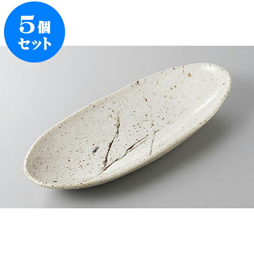 5個セット 変形盛皿 アメ乱長盛皿 [32 x 13.5 x 4cm] | 変形皿 お皿 和皿 人気 おすすめ 食器 業務用 飲食店 カフェ うつわ 器 おしゃれ ギフト プレゼント 引き出物 内祝い 結婚祝い 誕生日 贈り物 贈答品 食器セット