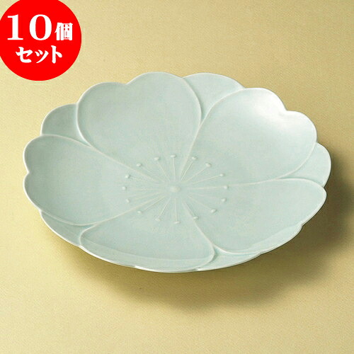 10個セット 丸皿 さくらさくら青磁おもてなし皿（有田焼） [ 25 x 3.5cm ] | 大きい お皿 大皿 盛り皿 盛皿 人気 おすすめ パスタ皿 パーティー 食器 業務用 飲食店 カフェ うつわ 器 ギフト プレゼント誕生日 贈り物 贈答品 おしゃれ かわいい 食器セット｜せともの本舗