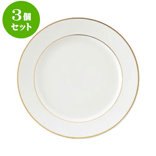 3個セット洋陶オープン ニューゴールドライン 24.5cmミート [ 24.5 x 2.7cm ] | 人気 おすすめ 食器 洋食器 業務用 飲食店 カフェ うつわ 器 おしゃれ かわいい ギフト プレゼント 誕生日 贈答品 食器セット 食器セット
