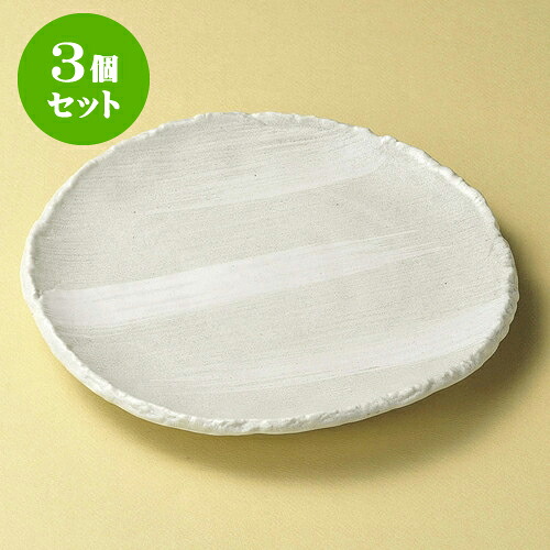 3個セット丸皿 堀川凛8.0丸皿 [ 25 x 25 x 2.3cm ] | 大きい お皿 大皿 盛り皿 盛皿 人気 おすすめ パスタ皿 パーティー 食器 業務用 飲食店 カフェ うつわ 器 ギフト プレゼント誕生日 贈り物 贈答品 おしゃれ かわいい 食器セット｜せともの本舗