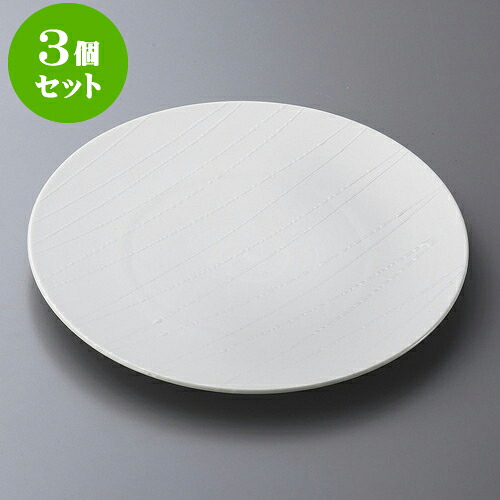 3個セット丸皿 アララギ白22cmサラダ [ 22.1 x 2cm ] | 中皿 デザート皿 取り皿 人気 おすすめ 食器 業務用 飲食店 カフェ うつわ 器 おしゃれ かわいい ギフト プレゼント 引き出物 誕生日 贈り物 贈答品 食器セット