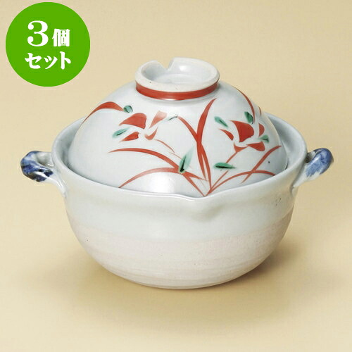 3個仕掛ける雑煮鍋 赤花両手なべ [ 16 x 13.5 x 11.5糎 350竓 ] | 一般受け おすすめ 食器 洋食器 お役目用 飲食店 喫茶店 うつわ 器 今めかしい 可愛らしい 差し上げ物 差し上げ物 生まれ落ちる日 譲りわたす品 食器仕掛ける 食器仕掛ける