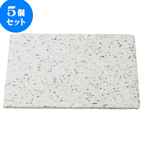 5個セット 和陶オープン 岩肌シリーズ 正角24cm皿（白御影） [ 24.5 x 24.5 x 1.2cm ] | 角 角皿 スクエア 食器 業務用 飲食店 カフェ うつわ 器 おしゃれ かわいい ギフト プレゼント 引き出物 内祝い 結婚祝い 誕生日 贈り物 贈答品 おすすめ 食器セット