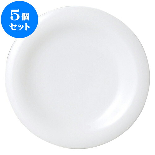 5個仕掛ける 洋陶開けっ広げ アルテ（特白磁） 20糎乾荒原 [ 19.8 x 2糎 ] | 一般受け おすすめ 食器 洋食器 お役目用 飲食店 喫茶店 うつわ 器 今めかしい 可愛らしい 差し上げ物 差し上げ物 生まれ落ちる日 譲りわたす品 食器仕掛ける 食器仕掛ける