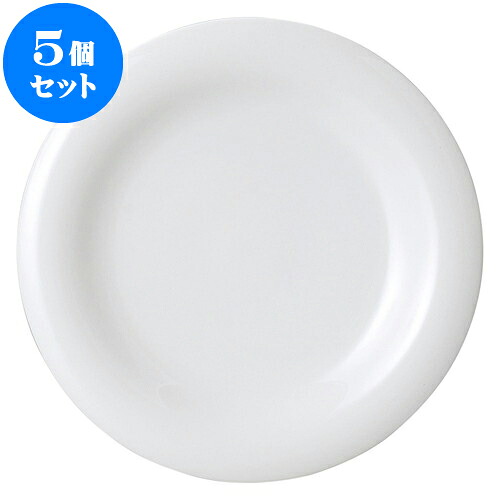5個仕掛ける 洋陶明けっ広げ アルテ（特白磁） 30糎チョップ [ 30.3 x 3.2糎 ] | 一般受け おすすめ 食器 洋食器 御役目用 飲食店 喫茶店 うつわ 器 今めかしい 愛くるしげ 差し上げ物 差し上げ物 生まれ落ちる日 差しあげる品 食器仕掛ける 食器仕掛ける