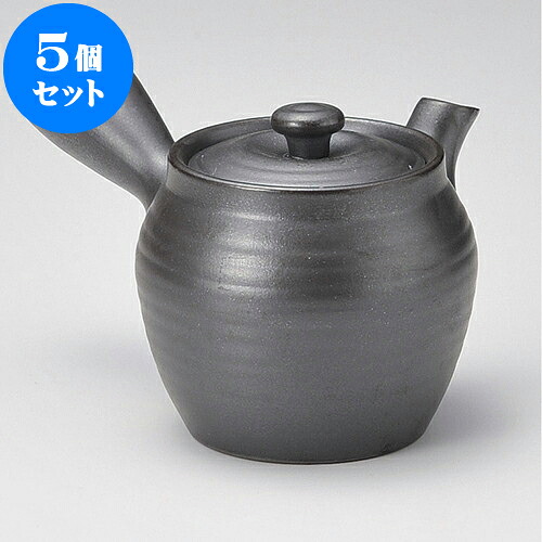 5個仕掛ける 急須 未来永劫急須1.5つぼ形よう癌腫（丸網）（萬古焼）340竓 ] | ポット 急須 きゅうす 土瓶 茶の葉 薬の１回分 まったり 一般受け おすすめ 食器 御役目用 飲食店 喫茶店 うつわ 器 今めかしい 愛くるしげ 差し上げ物 差し上げ物 差し上げ物 生まれ落ちる日 差し上げ物 差しあげる品 食器仕掛ける