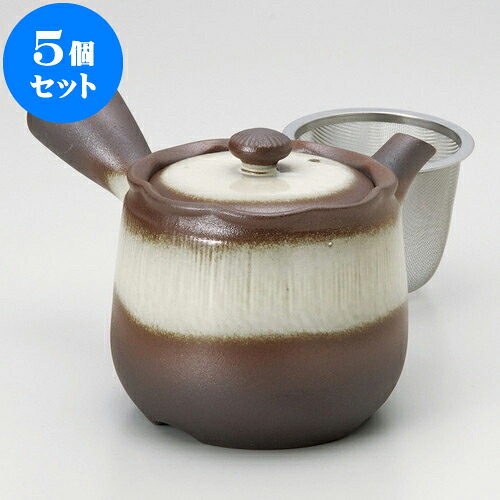5個仕掛ける 急須 未来永劫急須2.0花花白（カゴ網付）（萬古焼）380竓 ] | ポット 急須 きゅうす 土瓶 茶の葉 薬の１回分 まったり 一般受け おすすめ 食器 御役目用 飲食店 喫茶店 うつわ 器 今めかしい 愛くるしげ 差し上げ物 差し上げ物 差し上げ物 生まれ落ちる日 差し上げ物 差しあげる品 食器仕掛ける
