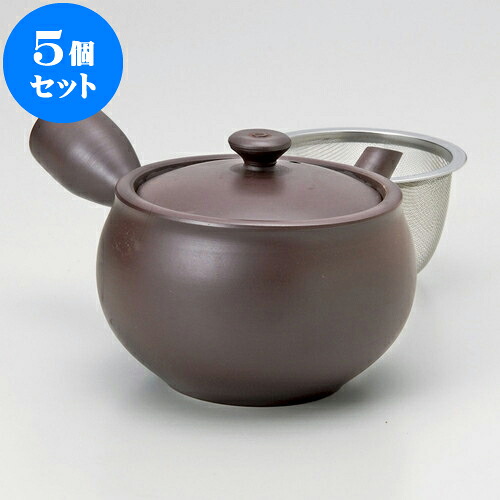 5個仕掛ける 急須 未来永劫急須2.0カメ形無地（カゴ網付）（萬古焼）350竓 ] | ポット 急須 きゅうす 土瓶 茶の葉 薬の１回分 まったり 一般受け おすすめ 食器 御役目用 飲食店 喫茶店 うつわ 器 今めかしい 愛くるしげ 差し上げ物 差し上げ物 差し上げ物 生まれ落ちる日 差し上げ物 差しあげる品 食器仕掛ける