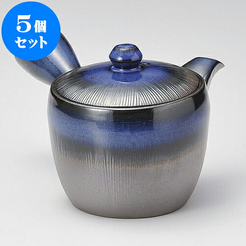 5個仕掛ける 急須 未来永劫急須2.0千筋ナマコ巻（丸網）（萬古焼）310竓 ] | ポット 急須 きゅうす 土瓶 茶の葉 薬の１回分 まったり 一般受け おすすめ 食器 御役目用 飲食店 喫茶店 うつわ 器 今めかしい 愛くるしげ 差し上げ物 差し上げ物 差し上げ物 生まれ落ちる日 差し上げ物 差しあげる品 食器仕掛ける