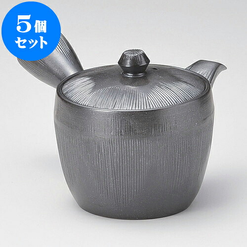 5個仕掛ける 急須 未来永劫急須2.0千筋よう癌腫（丸網）（萬古焼）310竓 ] | ポット 急須 きゅうす 土瓶 茶の葉 薬の１回分 まったり 一般受け おすすめ 食器 御役目用 飲食店 喫茶店 うつわ 器 今めかしい 愛くるしげ 差し上げ物 差し上げ物 差し上げ物 生まれ落ちる日 差し上げ物 差しあげる品 食器仕掛ける
