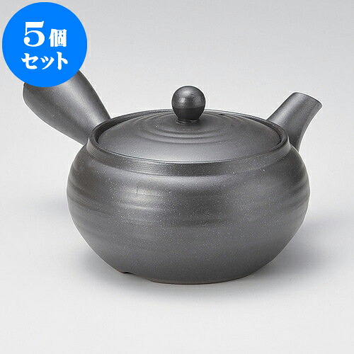5個仕掛ける 急須 未来永劫急須2.0平形よう癌腫（底網）（萬古焼）11 x 8.5糎 350竓 ] | ポット 急須 きゅうす 土瓶 茶の葉 薬の１回分 まったり 一般受け おすすめ 食器 御役目用 飲食店 喫茶店 うつわ 器 今めかしい 愛くるしげ 差し上げ物 差し上げ物 差し上げ物 生まれ落ちる日 差し上げ物 差しあげる品 食器仕掛ける