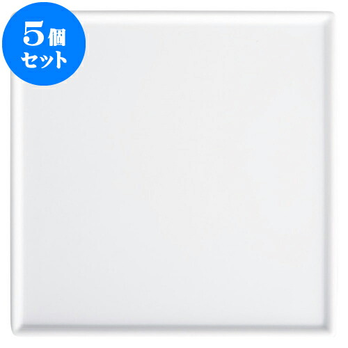 5個セット もだんコントラスト 白25cm角皿 [ 25.3 x 25.3 x 1.1cm ] | 四角 スクエア スクエアー 角皿 パスタ 人気 おすすめ 食器 洋食器 業務用 飲食店 カフェ うつわ 器 おしゃれ かわいい ギフト プレゼント 引き出物 誕生日 贈り物 贈答品 食器セット