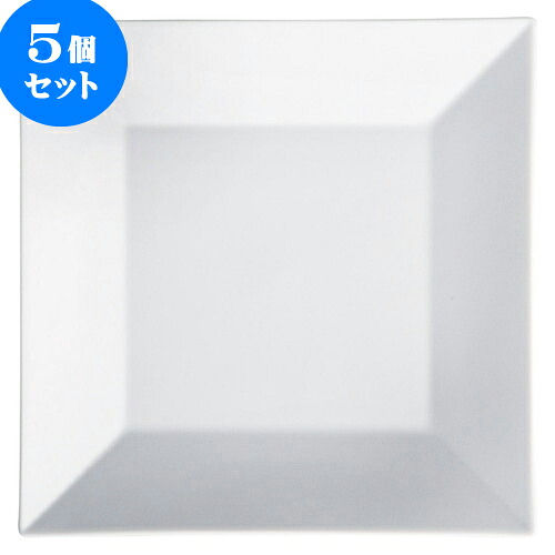 5個セット もだんコントラスト ヴィエー25cm正角皿 [ 25.8 x 2.5cm ] | 四角 スクエア スクエアー 角皿 パスタ 人気 おすすめ 食器 洋食器 業務用 飲食店 カフェ うつわ 器 おしゃれ かわいい ギフト プレゼント 引き出物 誕生日 贈り物 贈答品 食器セット｜せともの本舗