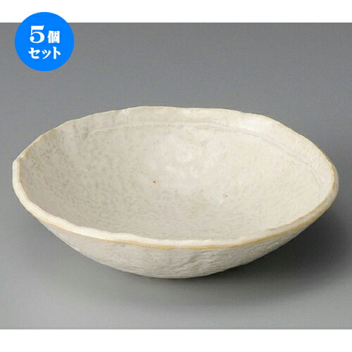 5個セット☆ 向付 ☆ チタンマット向付 [ 170 x 45mm ] | 和食器 鉢 小鉢 ボウル 浅鉢 料亭 ホテル 食器 業務用 飲食店 カフェ うつわ 器 おしゃれ かわいい ギフト プレゼント 内祝い 誕生日 贈り物 贈答品 おすすめ 食器セット