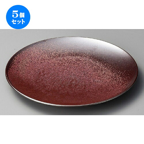 5個セット ☆ 大皿 ☆ 鉄結晶22cmサラダ [ 221 x 20mm ] | 大きい お皿 大皿 盛り皿 盛皿 人気 おすすめ パスタ皿 パーティー 食器 業務用 飲食店 カフェ うつわ 器 ギフト プレゼント誕生日 贈り物 贈答品 おしゃれ かわいい 食器セット