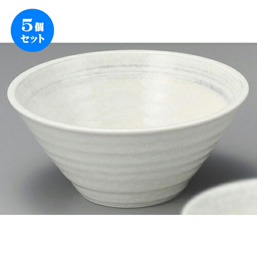 5個セット 丼 刷毛目白雪6 5水輪めん丼 196 X mm そば丼 うどん ラーメン どんぶり 鉢 盛り鉢 食器 業務用 飲食店 カフェ うつわ 器 おしゃれ かわいい ギフト プレゼント 引き出物 内祝い 結婚祝い おすすめ 贈る結婚祝い