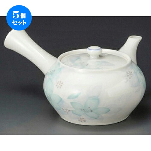 5個仕掛ける 急須 / 津和野京型急須300竓 ] | ポット 急須 きゅうす 土瓶 茶の葉 薬の１回分 まったり 一般受け おすすめ 食器 御役目用 飲食店 喫茶店 うつわ 器 今めかしい 愛くるしげ 差し上げ物 差し上げ物 差し上げ物 生まれ落ちる日 差し上げ物 差しあげる品 食器仕掛ける