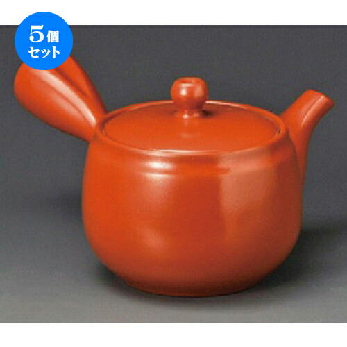 手数料安い 楽天市場 5個セット 急須 ａ53ｎ1 8号平網急須330cc ポット 急須 きゅうす 土瓶 お茶 一服 まったり 人気 おすすめ 食器 業務用 飲食店 カフェ うつわ 器 おしゃれ かわいい ギフト プレゼント 引き出物 誕生日 贈り物 贈答品 せともの本舗 人気絶頂