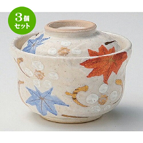 3個仕掛ける☆ 円御菓子碗 ☆志野立田川円御菓子碗 [ 10 x 9.4糎 442g ] | 煮物 食べ物屋 はたご屋 煮炊き 碗 一般受け おすすめ 食器 お役目用 飲食店 喫茶店 うつわ 器 今めかしい 可愛らしい 差し上げ物 差し上げ物 差し上げ物 生まれ落ちる日 差し上げ物 譲りわたす品 食器仕掛ける