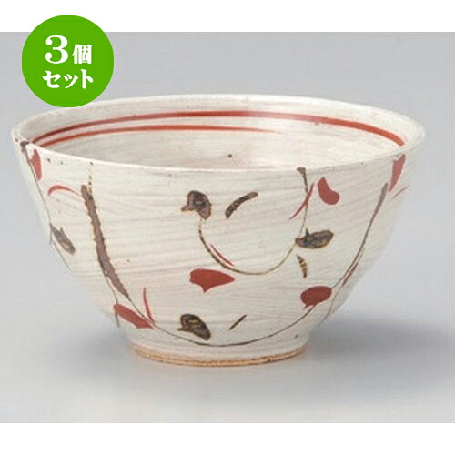 3個セット☆ 中平 ☆赤絵サビ唐草飯碗 [ 12.3 x 6.5cm 231g ] | ちゃわん お茶碗 飯碗 ご飯茶碗 白米 人気 おすすめ 食器 業務用 飲食店 カフェ うつわ 器 おしゃれ かわいい ギフト プレゼント 引き出物 誕生日 贈り物 贈答品 食器セット｜せともの本舗 7,790円