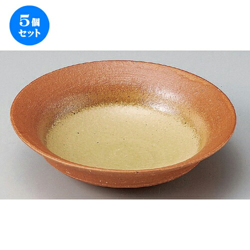 5個背景 盛ボウル 伊賀為来6 5浅鉢 2 X 5 5cm 430g 盛り切り鉢 盛鉢 全能 取り鉢 おすすめ 食槽 任務趣意 飲食店屋 カフエ うつわ 器 小意気 甘美 ドレスアップ チャーミング おしゃれ かわいい お洒落 可愛い Pghintheround Com