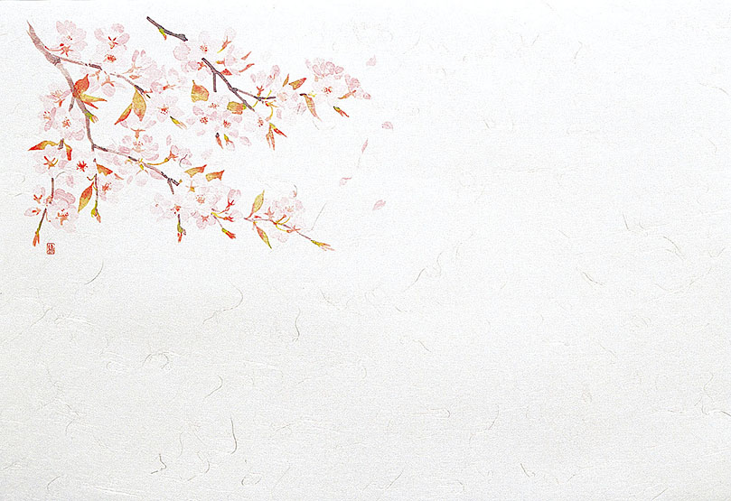 尺５雲竜和紙懐石まっと　四季 桜 (100枚入) [約31×45cm] | 和食 料理 定食 懐石料理 演出 テーブルウエア テーブルマット 懐石マット ランチョンマット