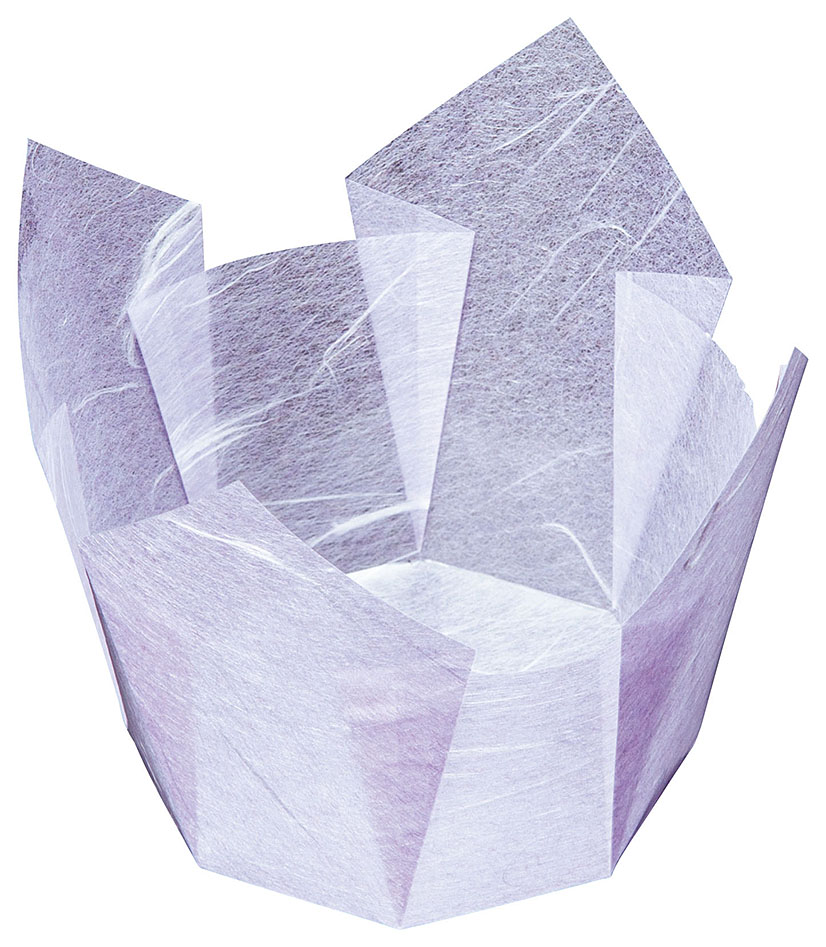 両面OP珍味入　藤雲竜　大 (100枚入) [約13&times;13&times;H9cm] | 和食 料理 懐石料理 松花堂 弁当 おせち料理 カップ その他｜せともの本舗