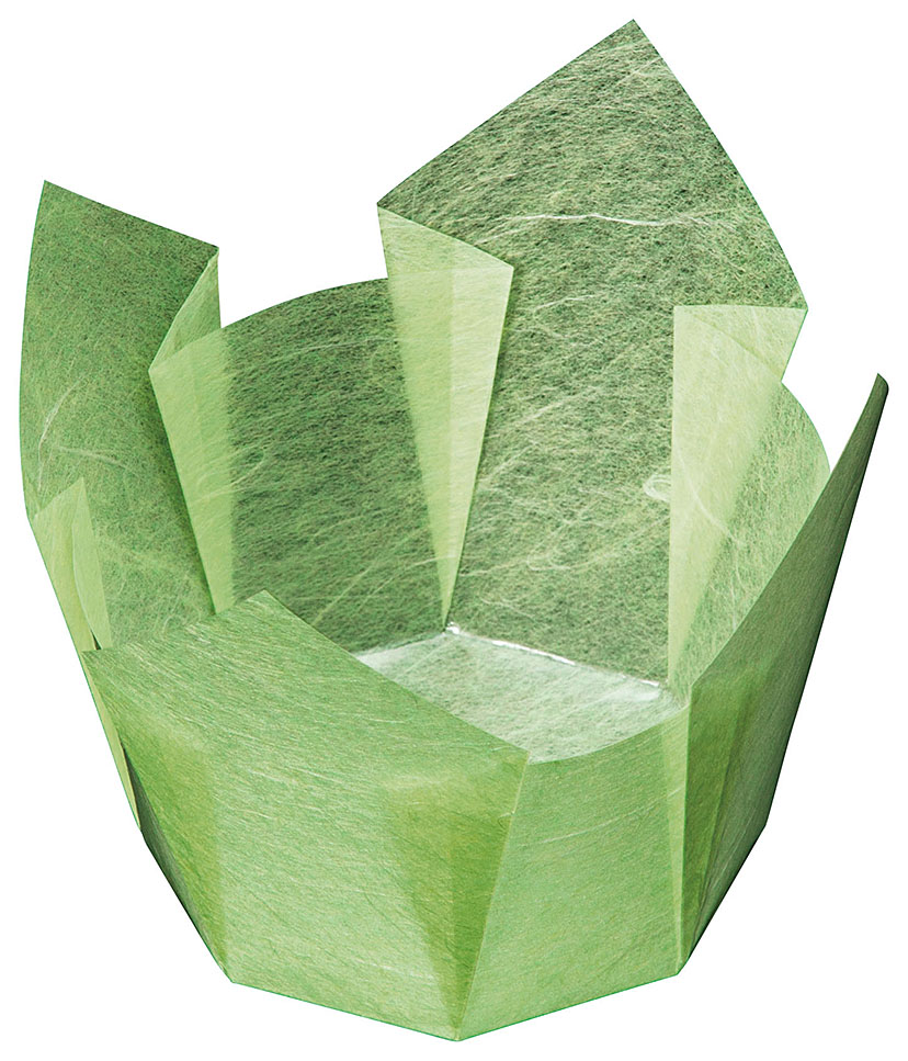 両面OP珍味入　若草雲竜　大 (100枚入) [約13&times;13&times;H9cm] | 和食 料理 懐石料理 松花堂 弁当 おせち料理 カップ その他｜せともの本舗