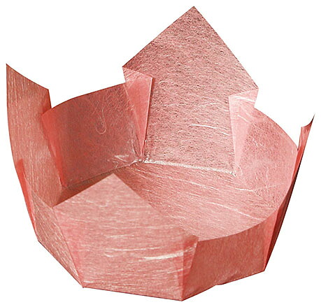 両面OP珍味入　紅梅雲竜　大B (100枚入) [約11&times;11&times;H5.5cm] | 和食 料理 懐石料理 松花堂 弁当 おせち料理 カップ その他｜せともの本舗