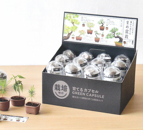 鉢と種が仕かけるになった  育てる宇宙カプセル  豆盆栽24個仕かける