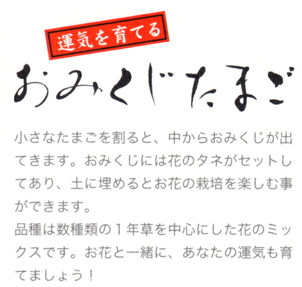 鬼瓦