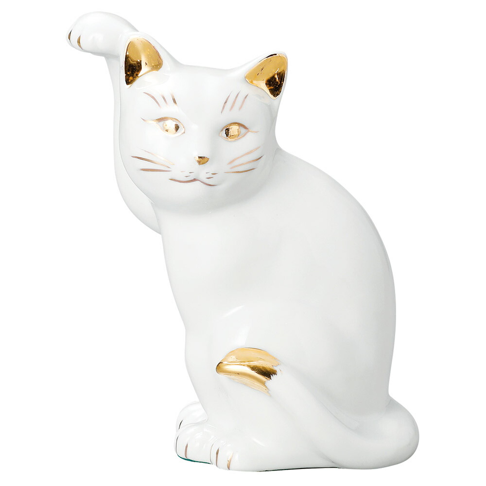 江戸横猫本金