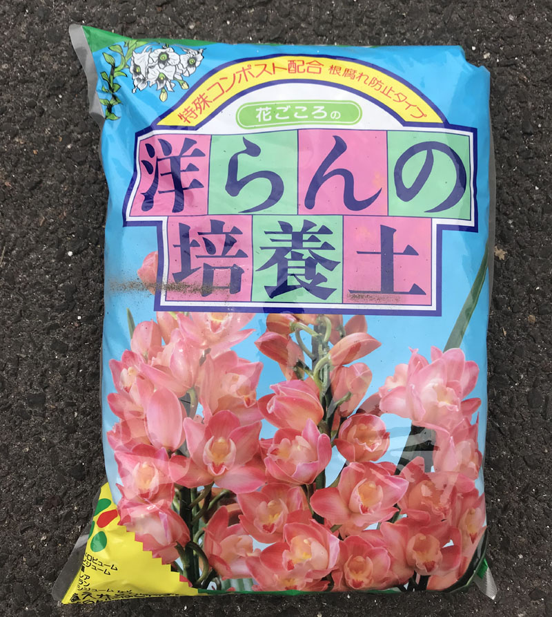 市場 洋らんの培養土：干支お雛様のせともの市場