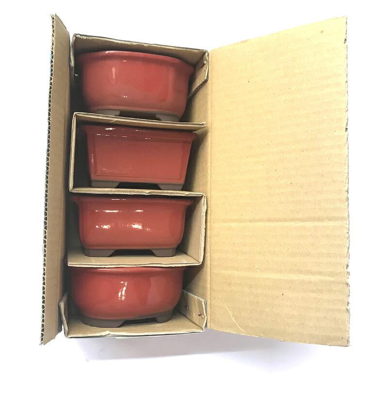 【文山】3.5号4点仕掛ける 赤さつき鉢（箱入）和風鉢 ミニ盆栽鉢 瀬戸もの 瀬戸もの(506) 花・ガーデン・DIY-植木鉢・プランター-ガーデニング・農業