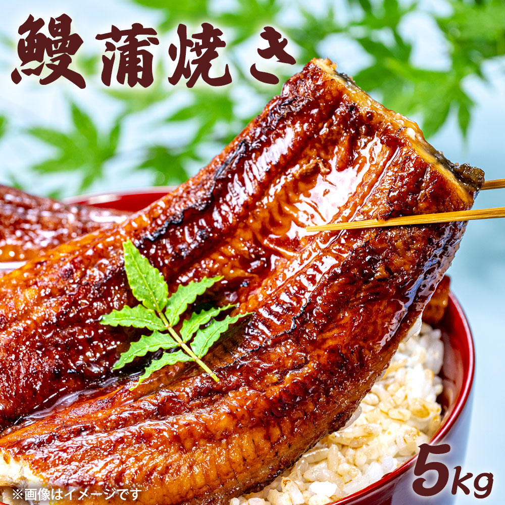中国産 うなぎかば焼き 5kg 業務用 冷凍