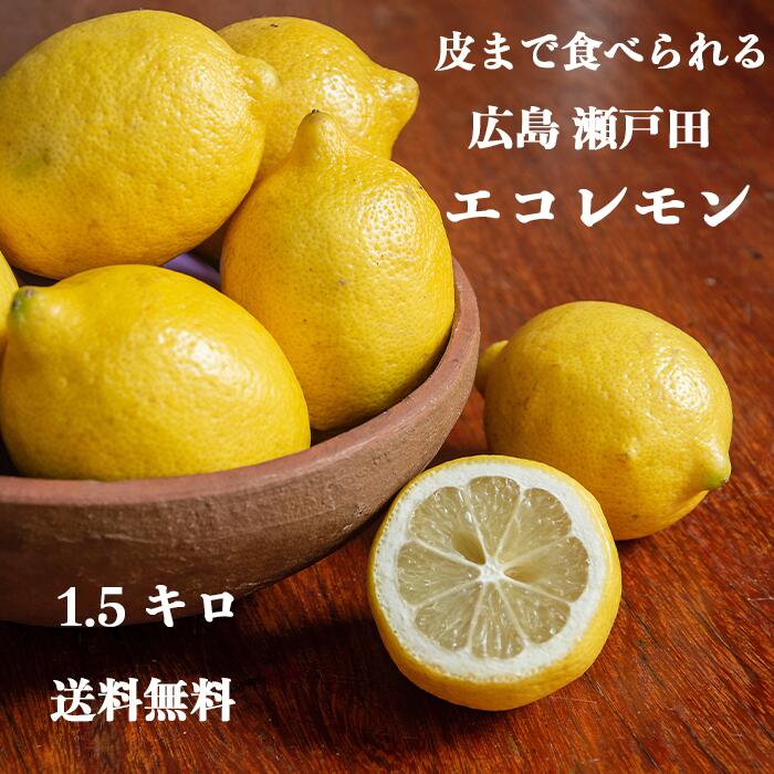 国産瀬戸田レモン農薬不使用8