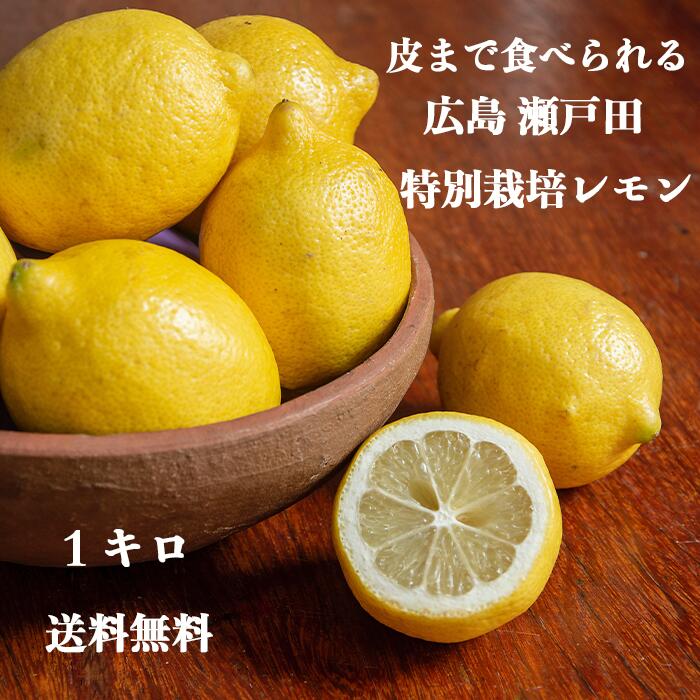【楽天市場】最終発送 【 生産量日本一 広島 瀬戸田 レモン 1.5キロ 