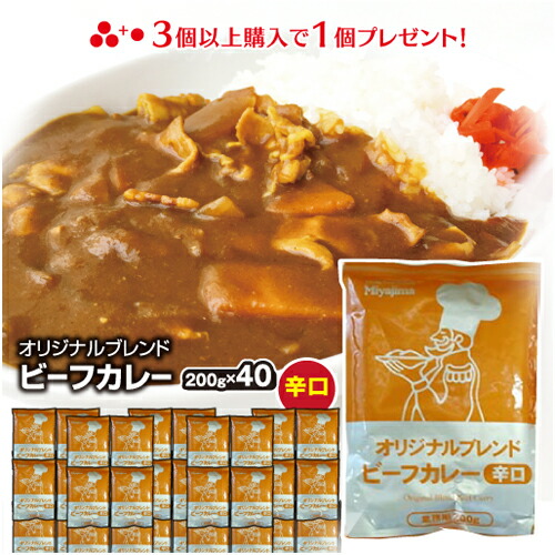 食研カレー 1食(200g×1) 送料無料 日本食研 中辛 レトルトカレー