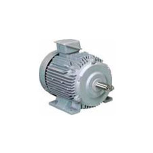 日立 三相モータ TFOA-LKK-15kW-4P-TMU-AC400V 全閉外扇 屋外仕様 脚取付 ブレーキ無し 端子箱（上）ザ・モートルNeo100 Premium
