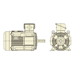 日立 三相原動機 TFO-LKK-45kW-2P 全閉外扇 三相200/400V共用 屋内遣りくち 脚滑りだし 打ちきり皆無 ザ・モートルNeo100 Premium