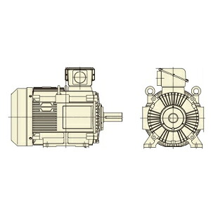 日立 三相原動機 TFOA-LKK-45kW-4P AC200/400V共用 全閉外扇 室外遣りくち 脚滑りだし 打ちきり皆無 ザ・モートルNeo100 Premium
