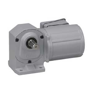 ニッセイ 歯車原動機 直交軸 H2L22L5-MM01TNNNN 脚打っ付け 0.1kW 三相200V 判定基準打ちきり無