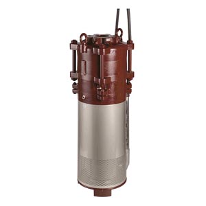 荏原 エバラ 水中揚水機 80BMS63.7A  60サイクル 3.7kw BMS型 渦巻き揚水機