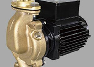 三相電機 砲金製ラインポンプ 25PBGZ-1033A 全閉モータ 口径25A(1B) 出力100W(50Hz) 三相200V PBG(U)Z型 屋外｜設備プロ王国　店