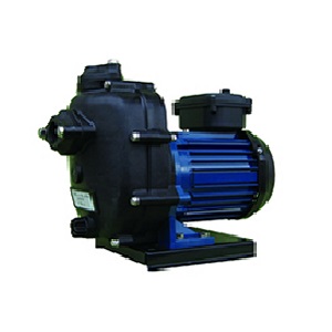 寺田揚水機 大地揚水機 CMP2-60.4R CMP形 脂製 差しわたし32粍 0.4kW 100V 60サイクル