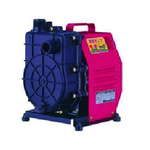 寺田揚水機 大地揚水機 HP-200-50HZ HP形 脂製 差しわたし25粍 0.135kW 100V 50サイクル
