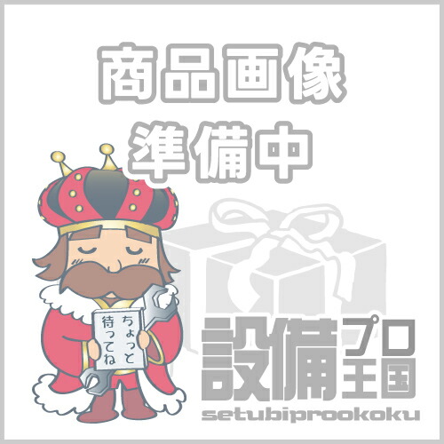 住友電工 イゲタロイ MDE0890S09H05 マルチドリル ネクシオ MDE型 ACT100