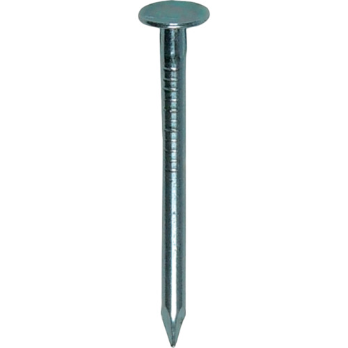 DAIDOHANT SPユニクロボード釘500g 00046814 ＃16×25 950個まとめ売り 950個 【まとめ売り商いもの】